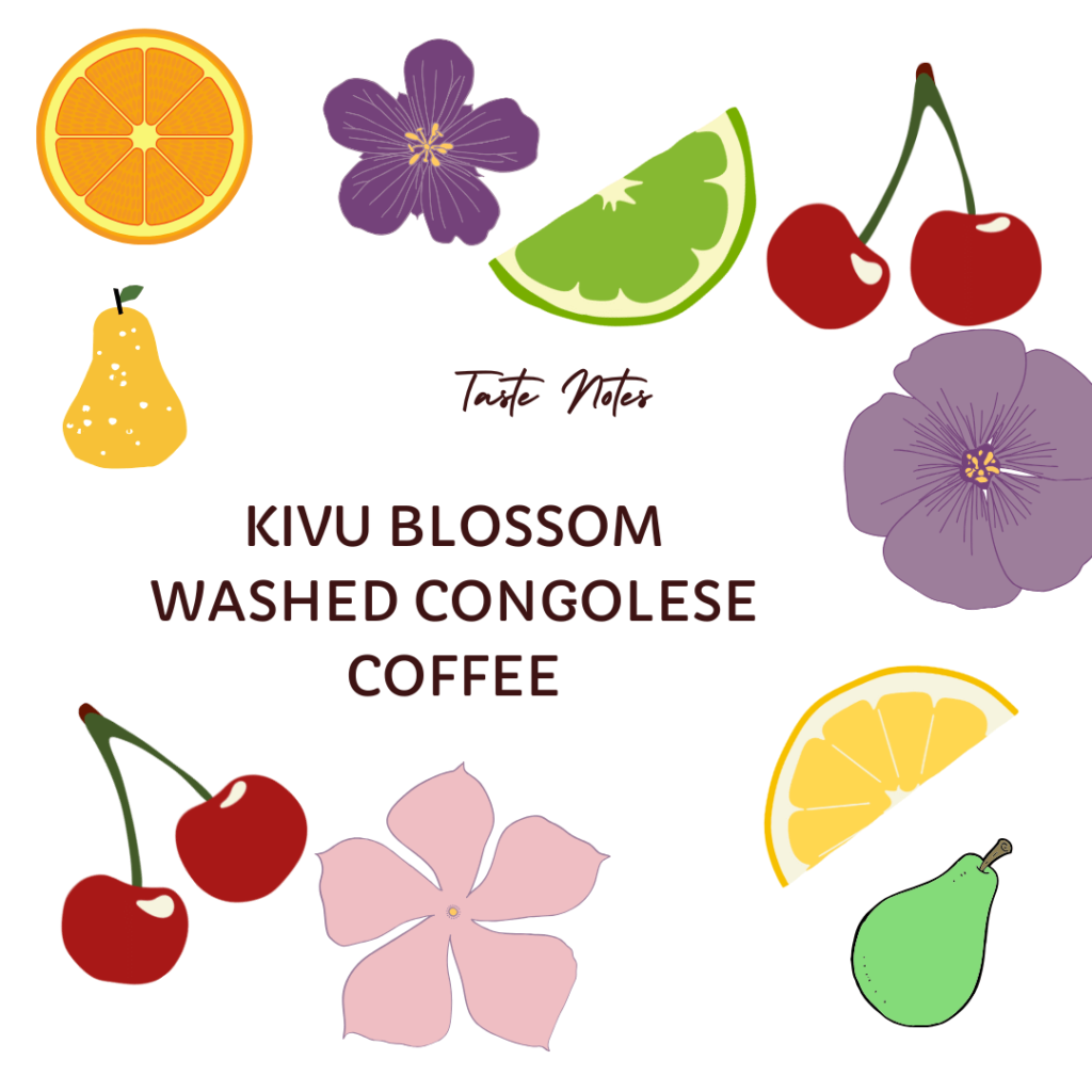 Kivu Blossom – Washed Congolese Specialty Coffee - Image 3