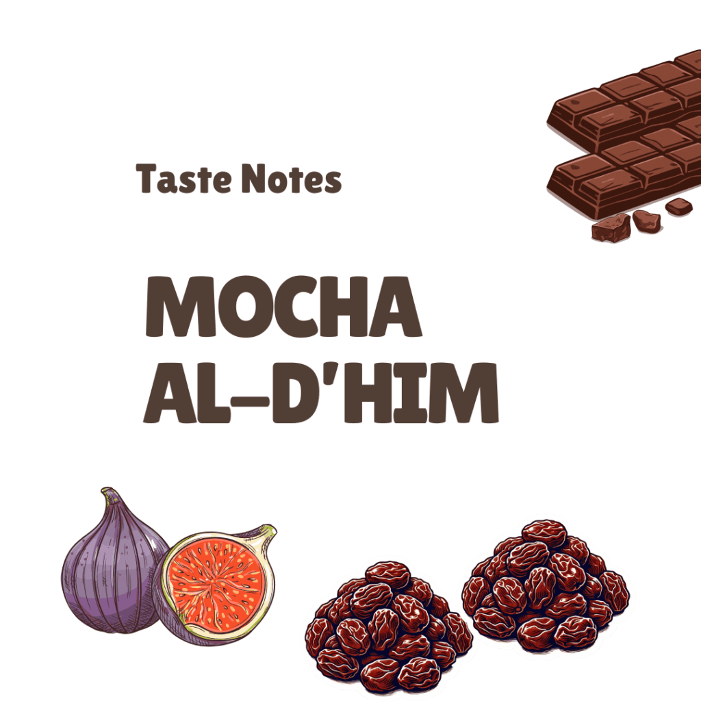 Yemen Mocha Al-D’him Artisan Coffee - Image 3