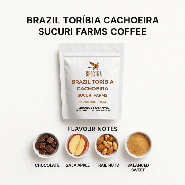 Brazil Toribia Cachoeira Sucuri Farms Coffee