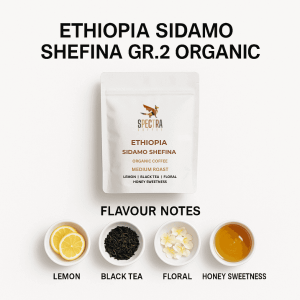 Ethiopia Sidamo Shefina GR.2 Organic Coffee