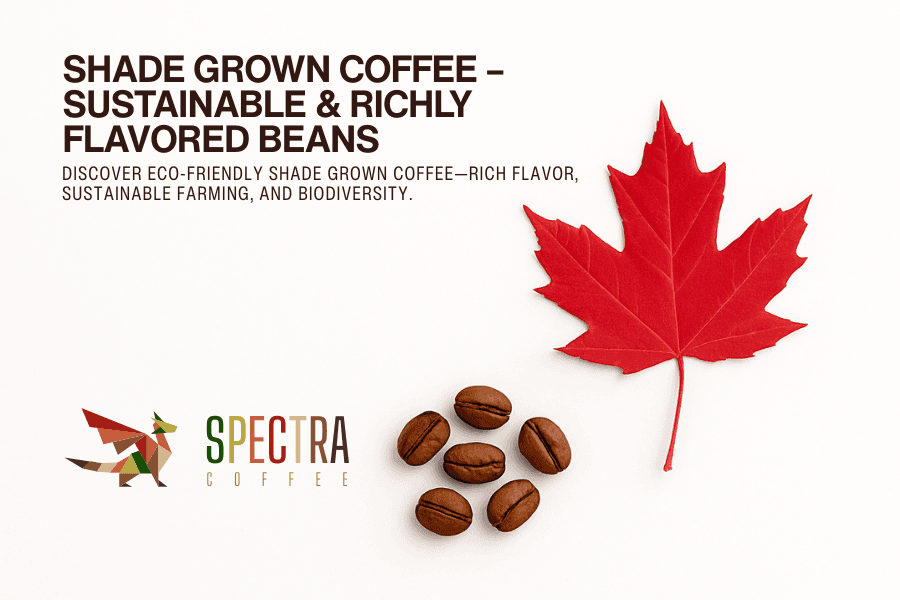 Shade Grown Coffee – Sustainable & Richly Flavored Beans